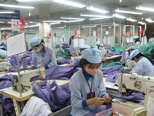 越南出口骤降80%、42900家工厂停工 订单流失背后与中国的经济角色